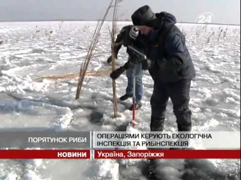 Смотреть видео