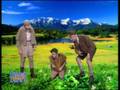Die Ärzte-Serienklassiker!!! ;-)))