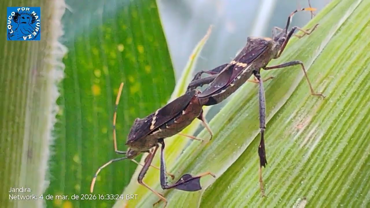 There's a threesome happening ❤️ HERE