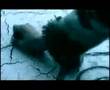 Tragedy-Celldweller (MirrorMask)