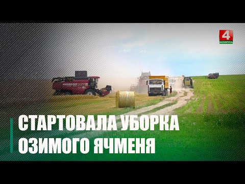 На Гомельщине стартовала уборочная кампания видео