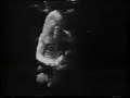 Whiplash - Red Bomb