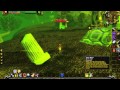 World of Warcraft Cataclysm Gameplay : Felwood kity tammed (Winna's Kitten)