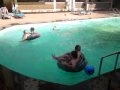 goa highland beach making waves in pool