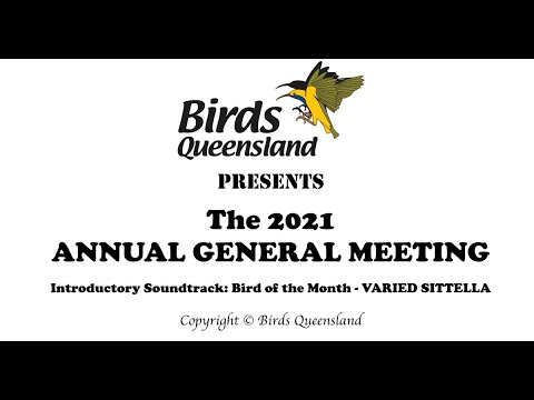 <p>Birds Queensland Annual General meeting for 2021, including president’s address, Treasurer’s report and voting</p>
 video thumbnail