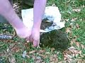 Research and Recovery: How To Dig a Plug