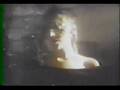 Cranes - Inescapable