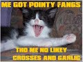 Lolcats Tribute