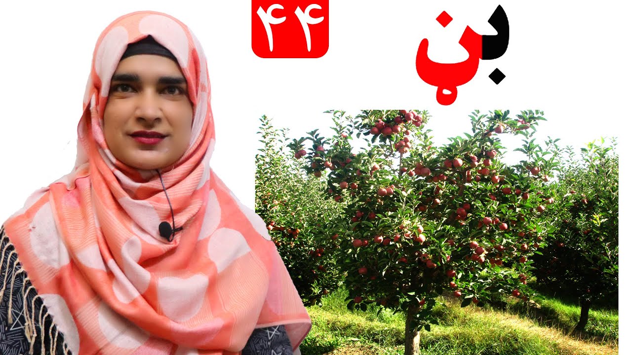 Lesson 44 _ Grade 1 _ Pashto book / لوست ۴۴_ د پښتو کتاب _ لومړی ټولګی