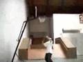 Amazing Basketball Hoop shots 