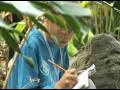 GreenSchool