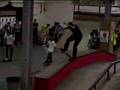 Toy Machine Euro Lurk Fest