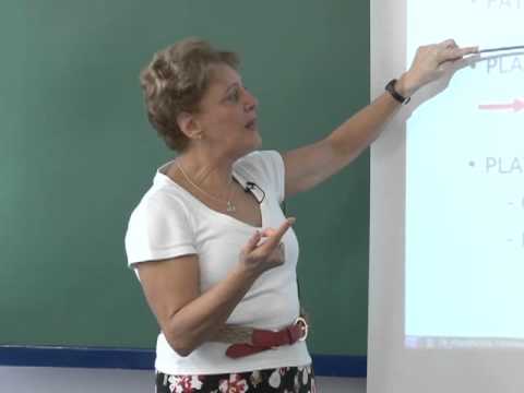 Cursos USP: Oceanografia - Sistema Bentônico #24