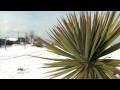 Nevicata a Fregene 10 febbraio 2012 Guarda video