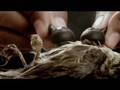 Music is Life  Zune Speculative Spot