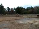 Tank cantering a jump line!!!!