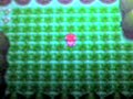 The worlds shortest shiny chain (i hope) The worlds shortest shiny chain (i hope)