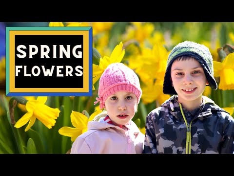 Spring flowers for kids