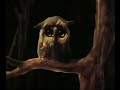 Песенка Белого Рыцаря - YouTube