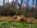 Traxxas E-Revo bashing - log jump