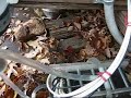 HHO Dry Cell Mars Gasket Part 12