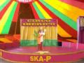 playmobil en circo berico