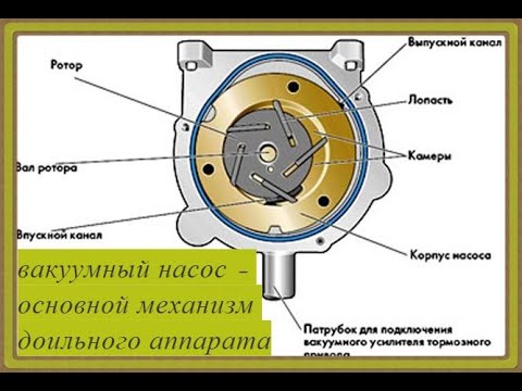 Ремонт Вакуумного Вибратора
