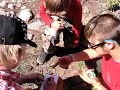 Cottonwood Institute Wildland Firefighter Project