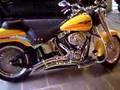 Escape Harley Fatboy Vance Hines Big Radius
