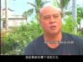 videos de 1128 #95 Amis Artist Mayaw on Driftwood Installations