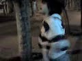 facu baila