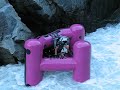 Big Falls SF Payette 1200cfs Purple G3 Big Falls SF Payette 1200cfs Purple G3