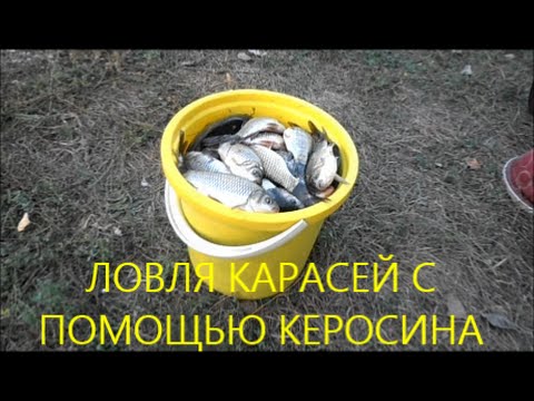 поиск ловли карася поиск ловли карася