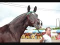 Cabalos e Multisectorial en Santa Comba Cabalos e Multisectorial en Santa Comba