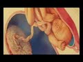 מהות הדולה- השלוב בליווי בהריון בלידה ולאחר הלידה
