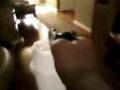 videos de worlds smallest gun
