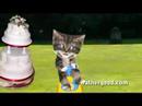 Assistir ao v�deo