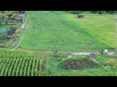 Video Stavební pozemek pro individuální bydlení, CP 1000 m2, Vrbovec, okres Znojmo.