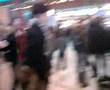 Utrecht freeze action
