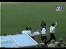 F�bio Giuntini Santiago -  06