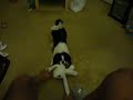 Wrestling with Kushi Wrestling with Kushi
