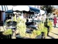3 Beds - The Gardens at Twin Hickory