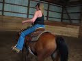 Bridleless reining /Horse training part 1