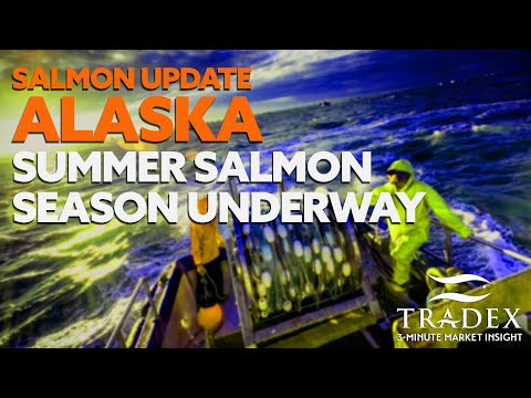3MMI - Salmon Market Update as Alaska Salmon Season Gets Underway