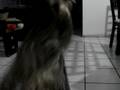 videos de Nicole Engasgada