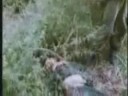 Prisoners (Vietnam war)