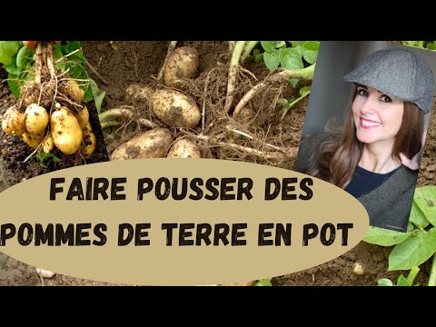 Image de prévisualisation YouTube