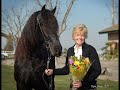 Witteveen Friesians presents: Michiel 442