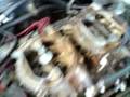 videos de Ford Cobra