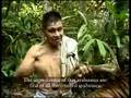 Ayahuasca (English version)